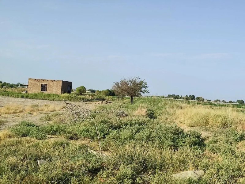 زمین 300 متری در ورامین تهران13535620723