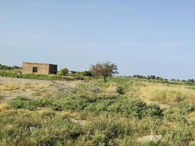 زمین 300 متری در ورامین تهران