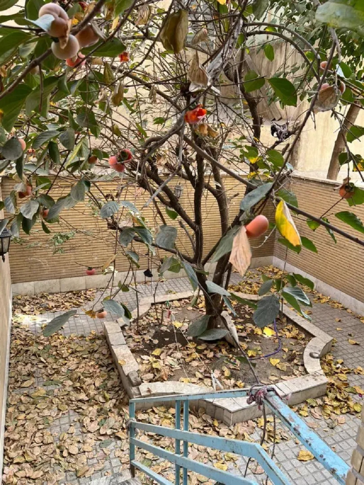 خانه 82 متری دو خوابه در نیروی هوایی تهران 5