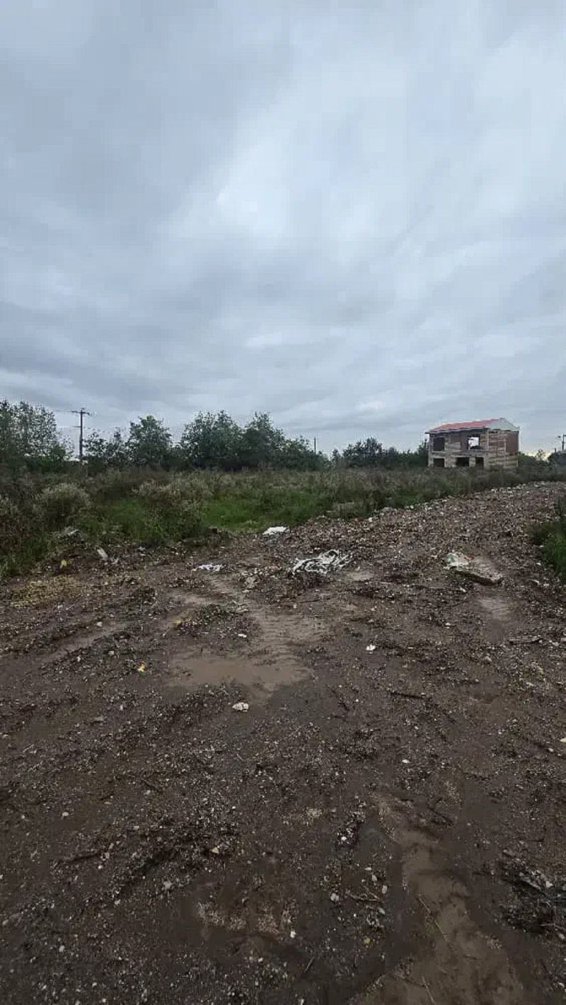 زمین 250 متری در زیباکنار13606022308