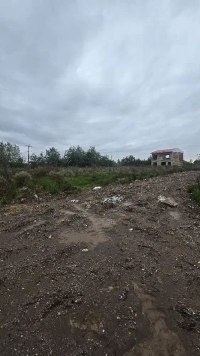 زمین 250 متری در زیباکنار