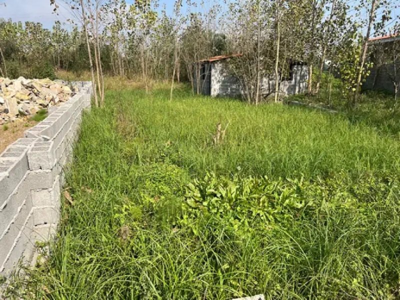 زمین 200 متری در بندرانزلی13604622284