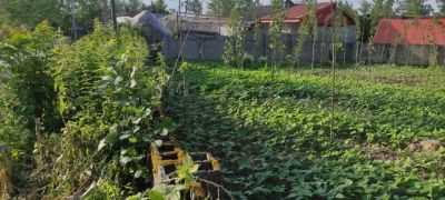 زمین 505 متری در بندرانزلی