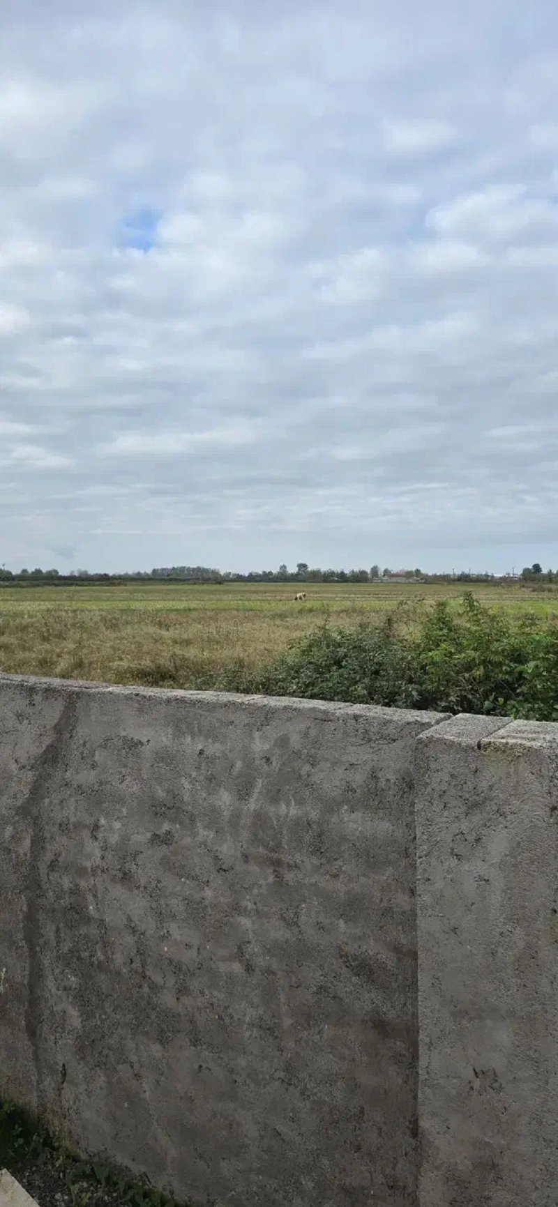 ویلا 200 متری دو خوابه در زیباکنار13635223075