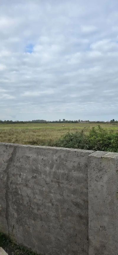 ویلا 200 متری دو خوابه در زیباکنار