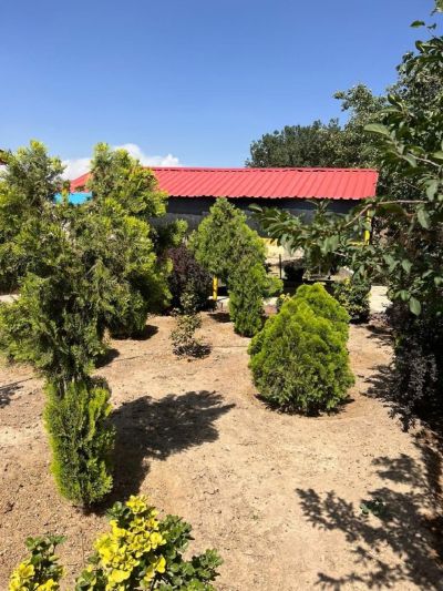 باغ 500 متری یک خوابه در فاز 4 مهرشهر