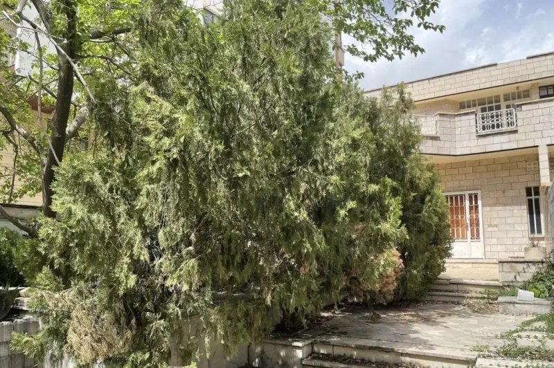 زمین 540 متری در فرمانیه تهران13670323814