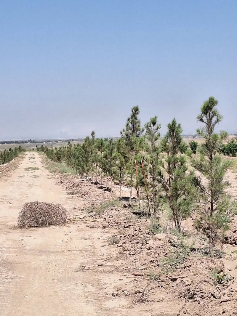 زمین 16800 متری در امام خمینی کرج13672623873