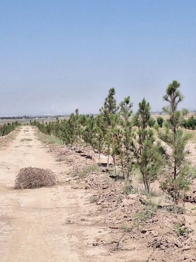 زمین 16800 متری در امام خمینی کرج