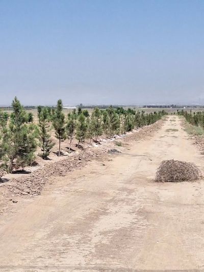 زمین 16800 متری در امام خمینی کرج