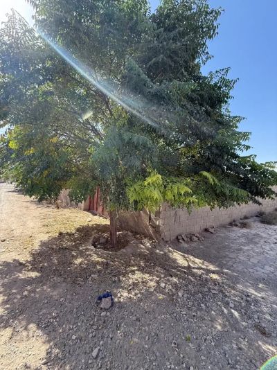 زمین 280 متری در چهارباغ کرج