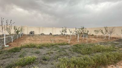 باغ 200 متری در چهارباغ کرج