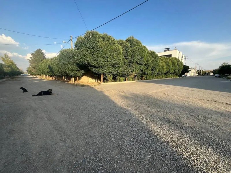 ویلا 1000 متری دو خوابه در چهارباغ کرج13688324301