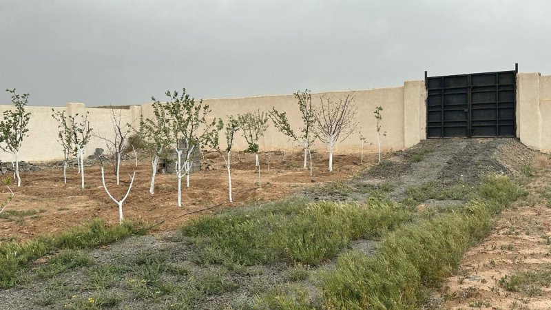 باغ 200 متری در چهارباغ کرج13689124376