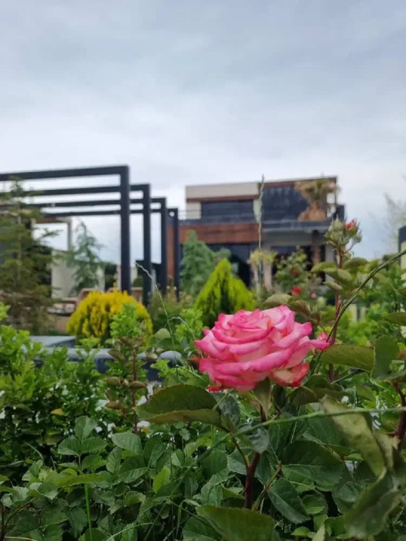 ویلا 500 متری دو خوابه در شهرک زعفرانیه کرج13696524625