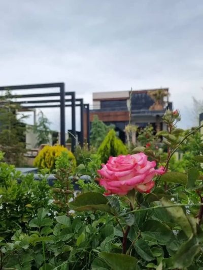 ویلا 500 متری دو خوابه در شهرک زعفرانیه کرج