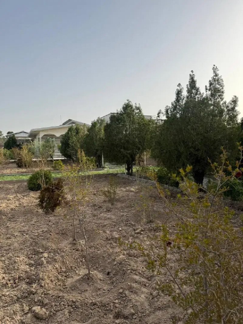 باغ 1000 متری در شهرک زعفرانیه کرج13716725162