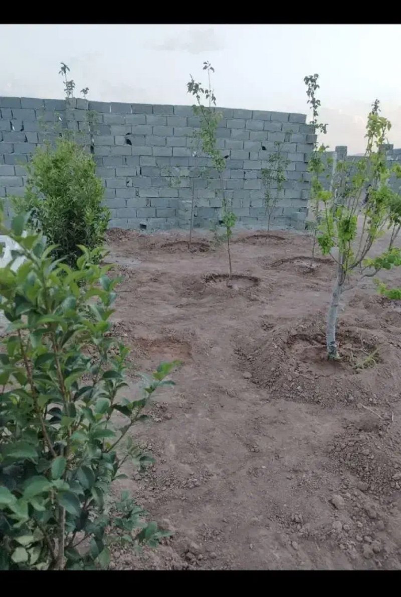 باغ 183 متری در شهریار13727425379