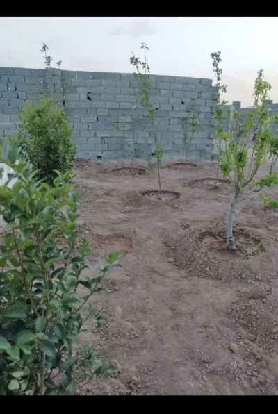 باغ 183 متری در شهریار