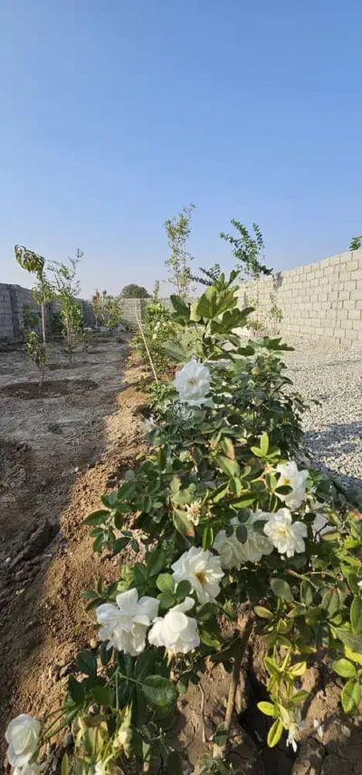 باغ 235 متری در رباط کریم