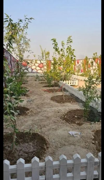 باغ 199 متری در رباط کریم