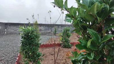 باغ 209 متری در اصیل آباد شهریار