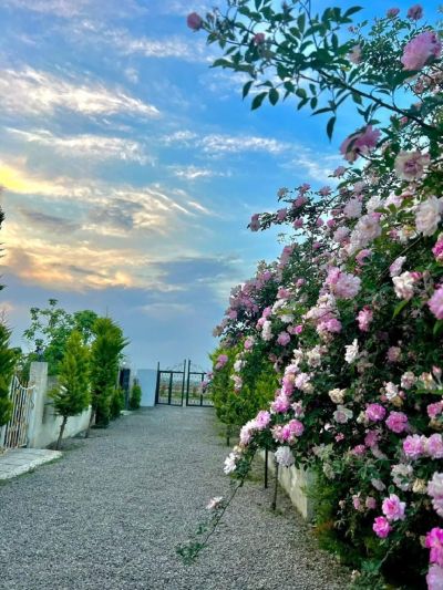 ویلا 280 متری سه خوابه در نور نور مازندران