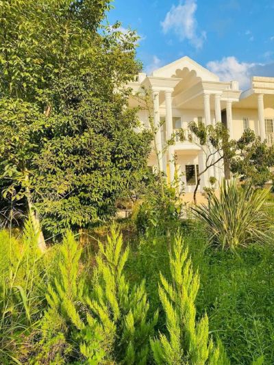 ویلا 600 متری چهارخوابه در نور نور مازندران