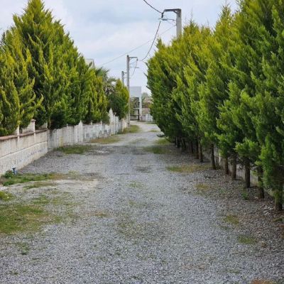 ویلا 250 متری دو خوابه در نور نور مازندران