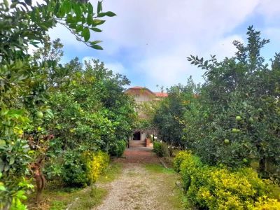 ویلا 1230 متری سه خوابه در جاده نظامی قائم شهر