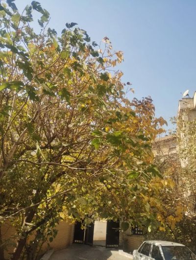 آپارتمان 125 متری دو خوابه در جماران تهران