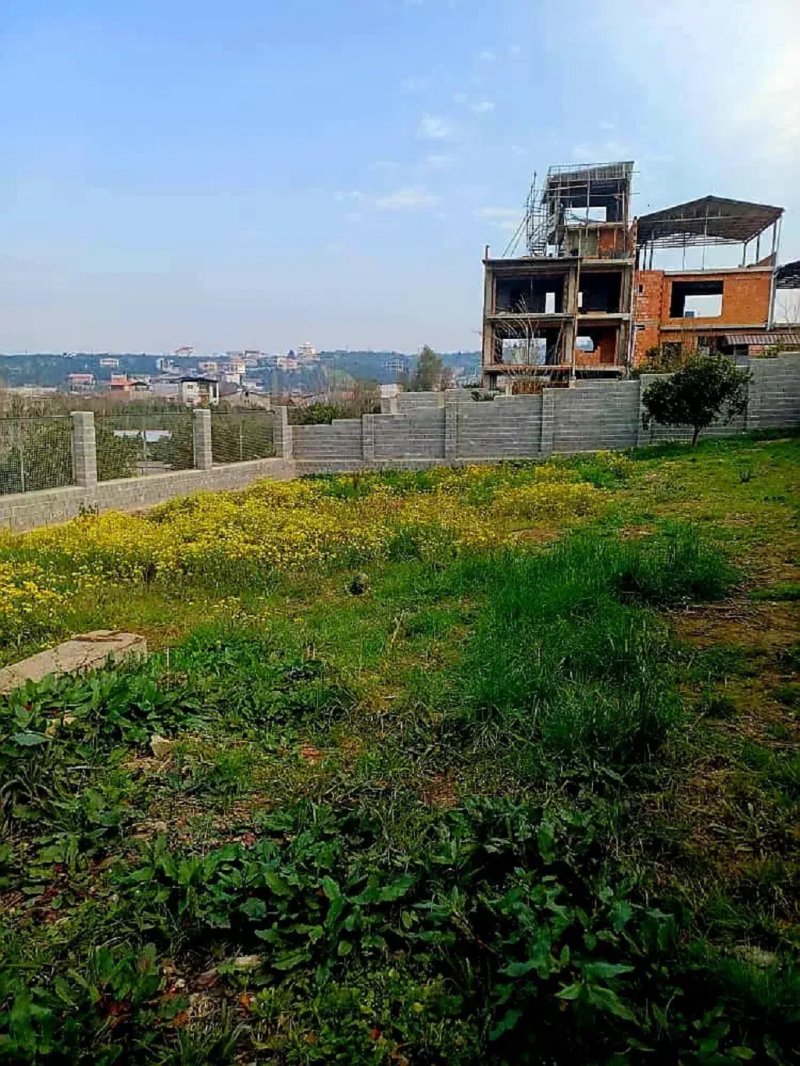 زمین 480 متری در قائمشهر قائم شهر13796027241