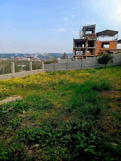 زمین 480 متری در قائمشهر قائم شهر