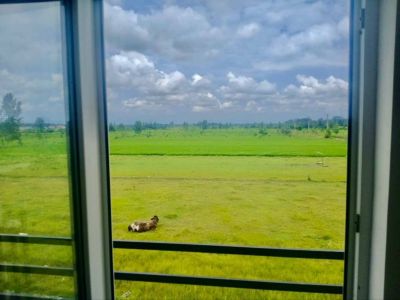 ویلا 220 متری سه خوابه در چمستان