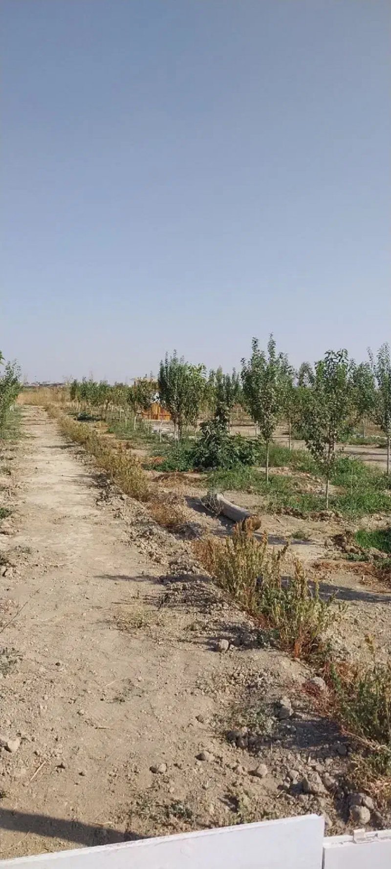 باغ 440 متری در یافت آباد تهران13807327473