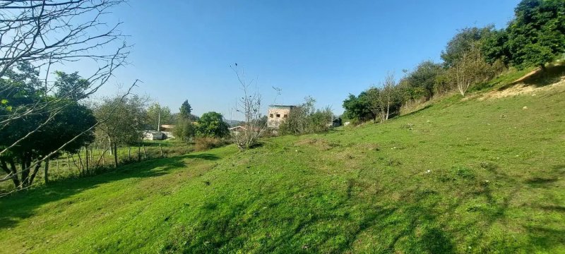 زمین 1387 متری در قائمشهر قائم شهر13814127685