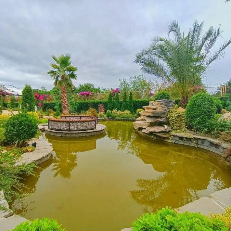 ویلا 800 متری چهارخوابه در نور نور مازندران13816927799