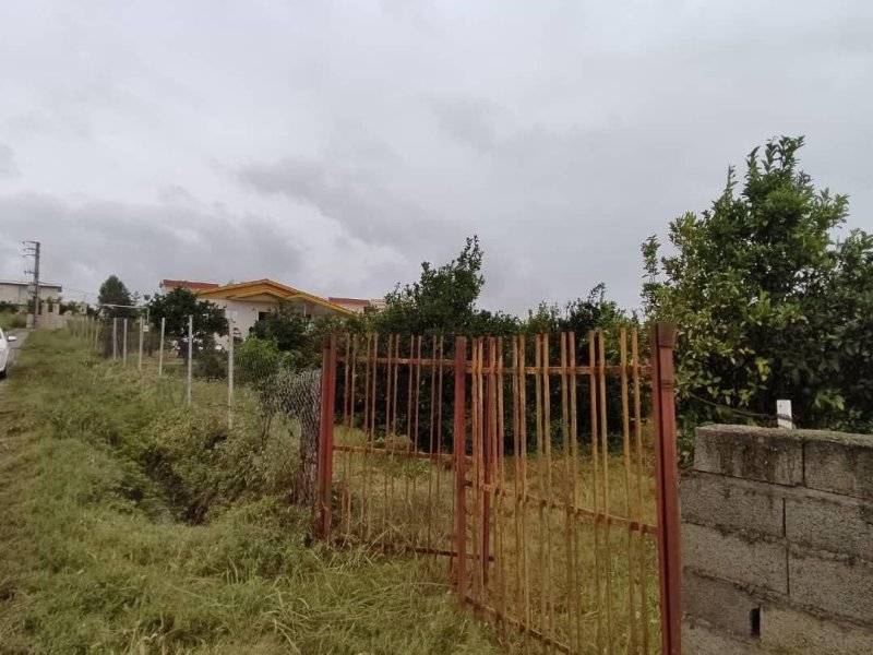 زمین 200 متری در نور نور مازندران13816527780