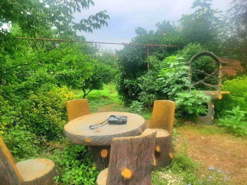 ویلا 3300 متری دو خوابه در جاده نظامی قائم شهر13814427691