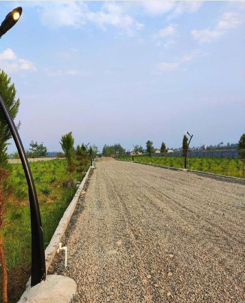 زمین 180 متری در نور نور مازندران13818027863