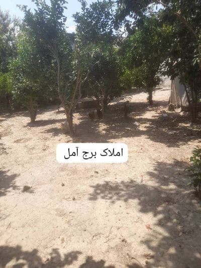 ویلا 770 متری دو خوابه در بلوار بسیج آمل