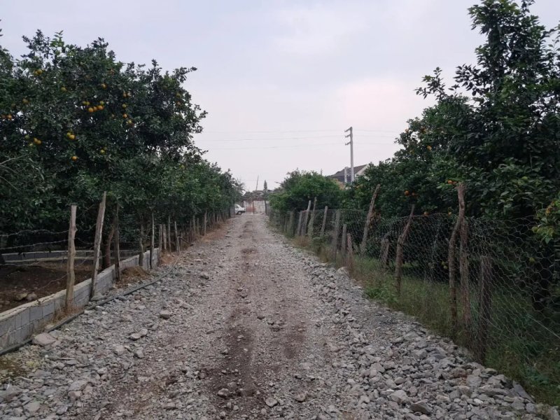 زمین 380 متری در چلندر نوشهر13843728308