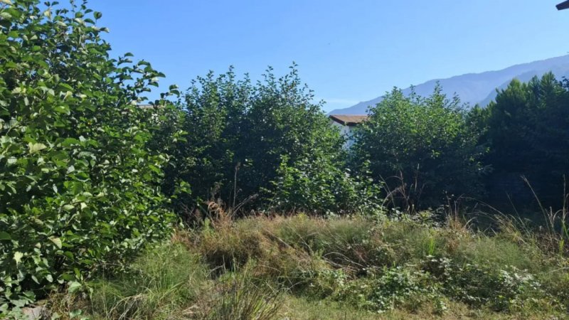 زمین 398 متری در نوشهر13843828311