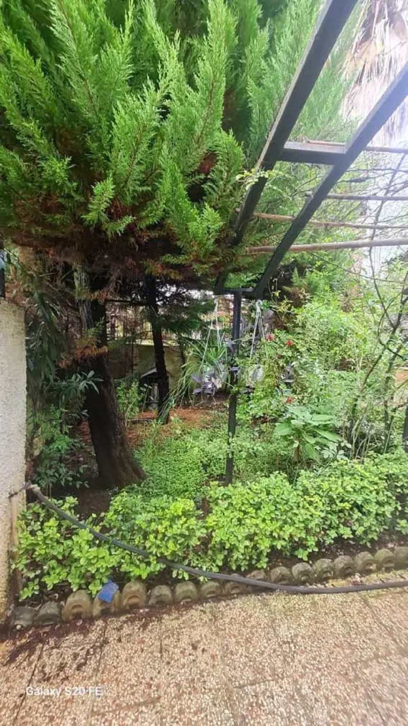 زمین 70000 متری در نوشهر13843928312