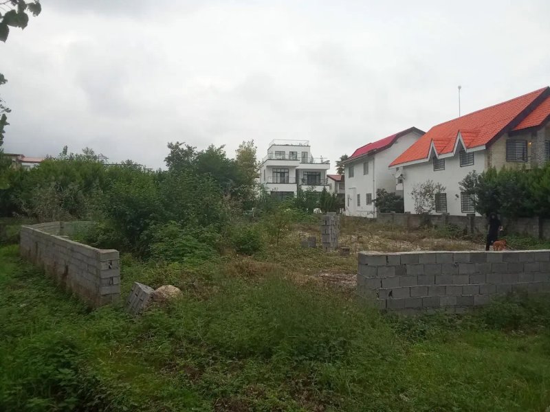 زمین 800 متری در چلک نوشهر13848428407