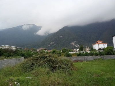 زمین 290 متری در نوشهر