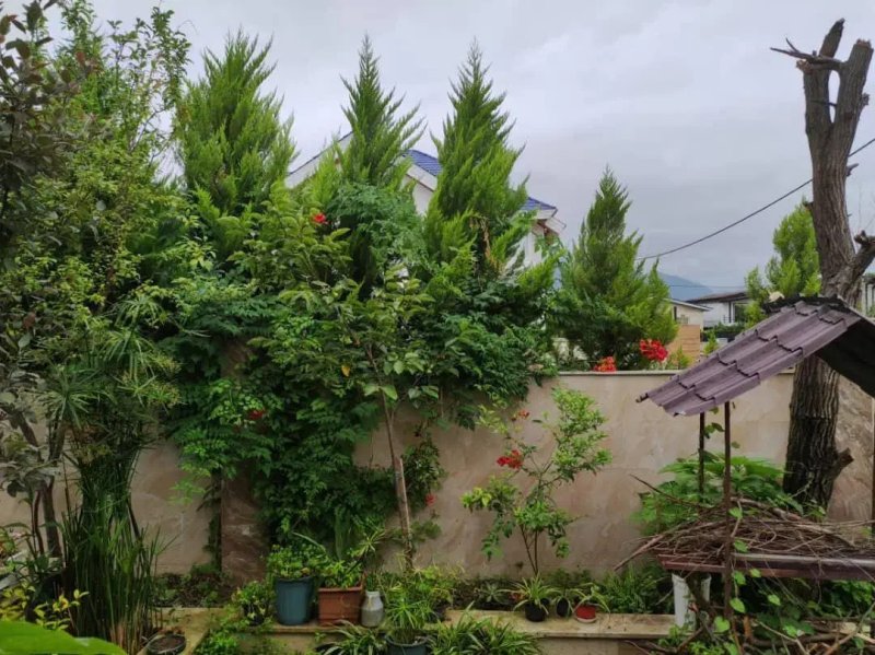 ویلا 350 متری سه خوابه در نوشهر13844628346