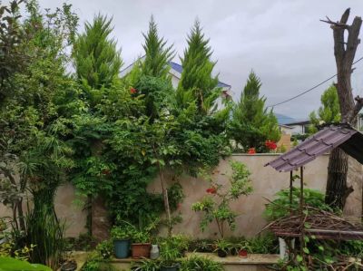 ویلا 350 متری سه خوابه در نوشهر