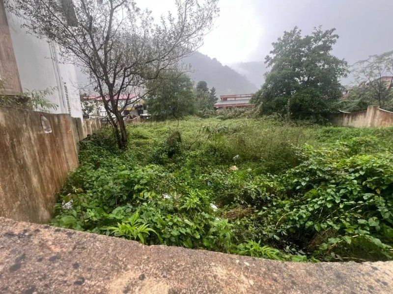 زمین 730 متری در نوشهر13849328424