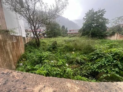 زمین 730 متری در نوشهر